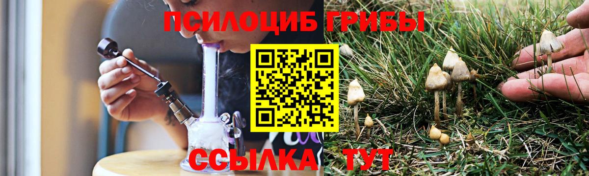 Галлюциногенные грибы мицелий Ростов Великий